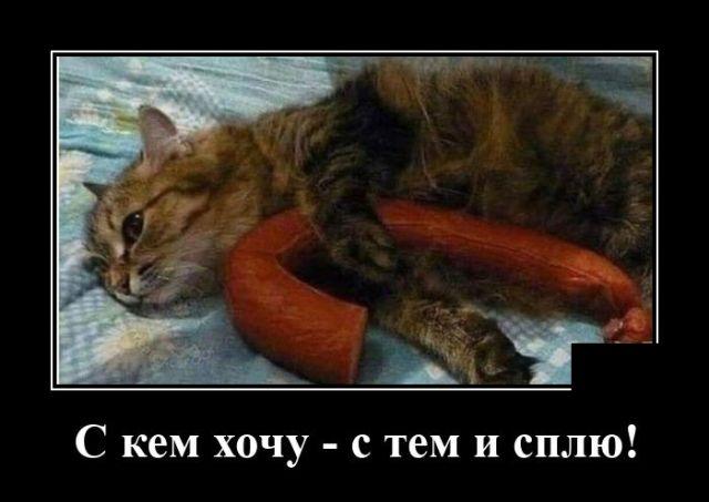 Новые демотиваторы и сплю с кем хочу