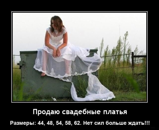 Новые демотиваторы и свадебные платья