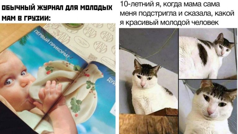 Прикольные картинки с надписями и журнал для молодых мам