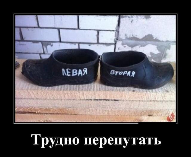 Новые демотиваторы и смотри не перепутай