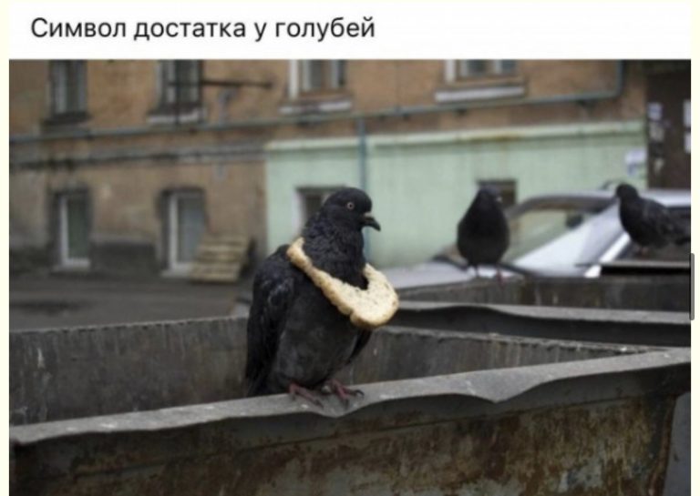 Юмор за день дорогой Дедушка