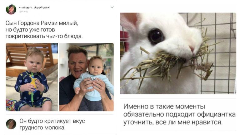 Забавные комментарии, которые как острый соус приправляют сам пост