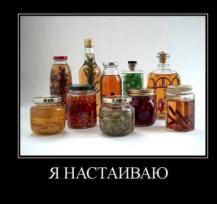 Новые демотиваторы и мы настаиваем