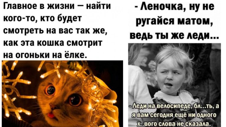 Прикольные картинки с надписями и леди на велосипеди