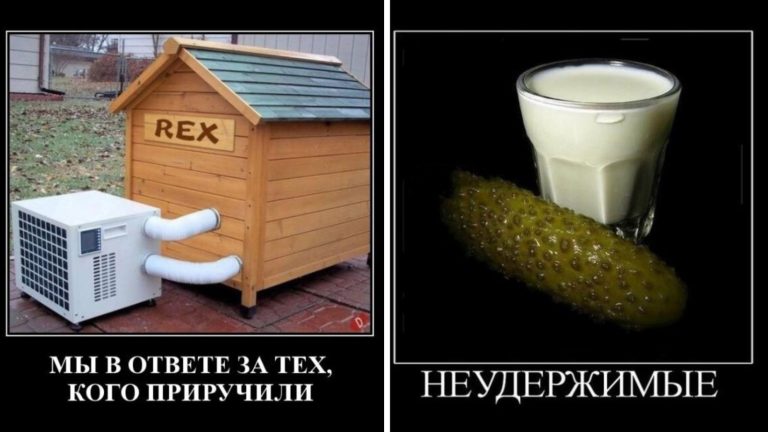 Новые демотиваторы и неудержимая парочка