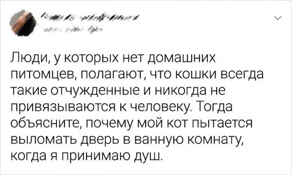 Подборка историй и шуток от кошатников с собачниками