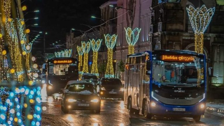 В Кутаиси из зала суда освобожден мужчина, угнавший автобус, чтобы устроить застолье для его пассажиров