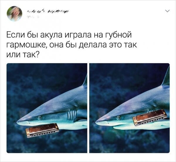 Берегите свой мозг, он может быть атакован: пост странных вопросов из сети