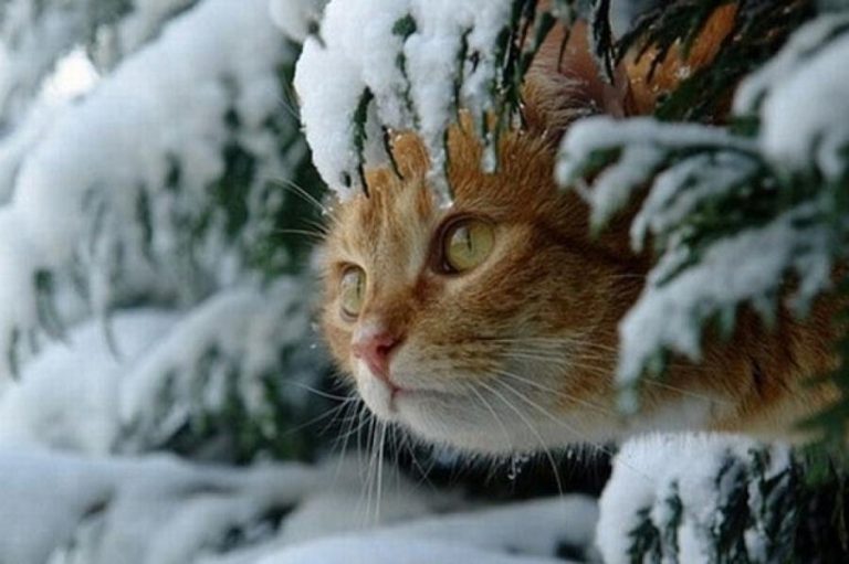 Во вторник потеплеет