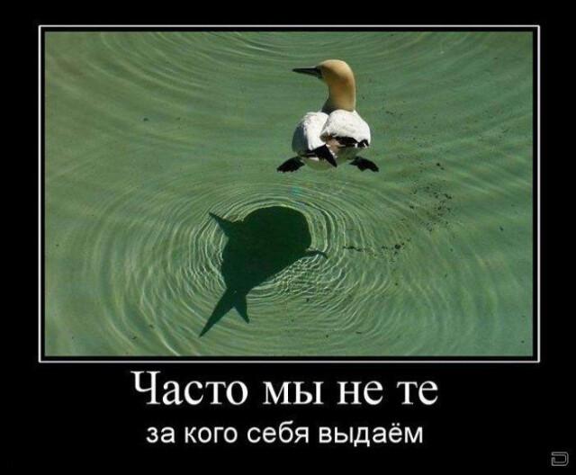 Новые демотиваторы и истинное лицо