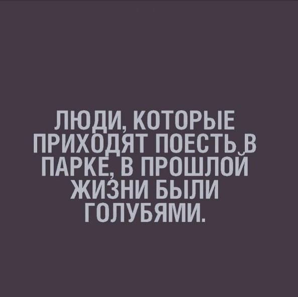Юмор за день и Last Christmas