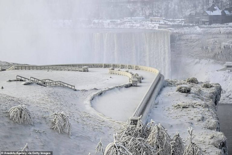 Ниагарский водопад частично обледенел