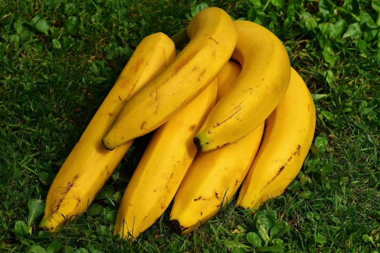 Есть мнение: список продуктов, которые нельзя употреблять при простуде