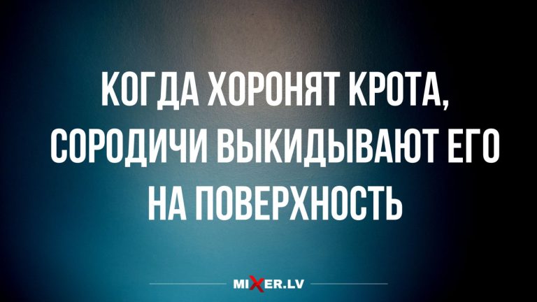 Юмор за день и похороны крота