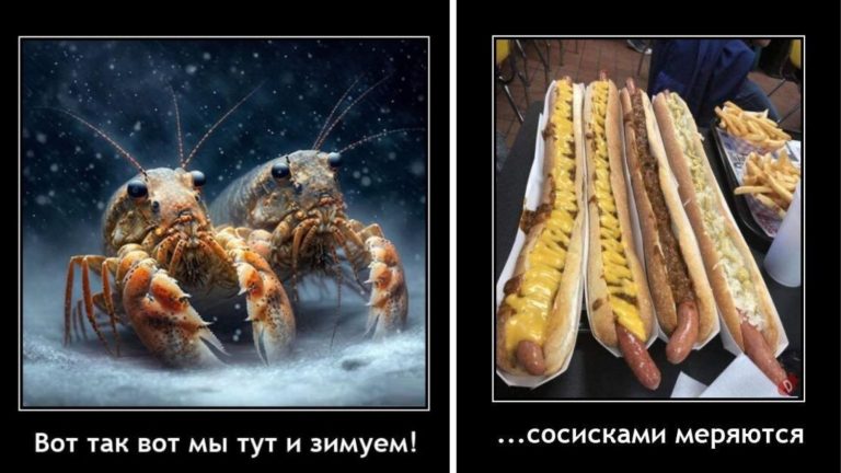 Новые демотиваторы и как зимуют раки