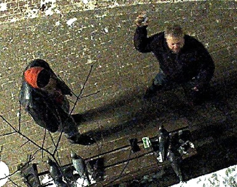 Юрмальская полиция разыскивает похитителей бронзовой чайки