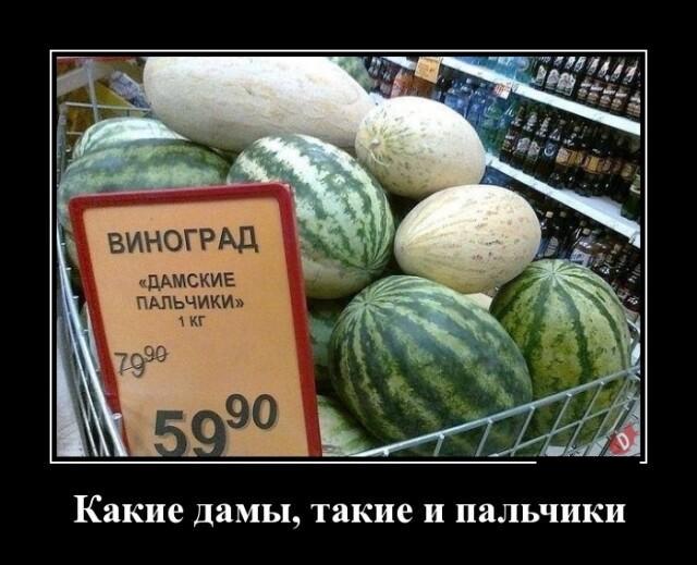 Новые демотиваторы и дамские пальчики