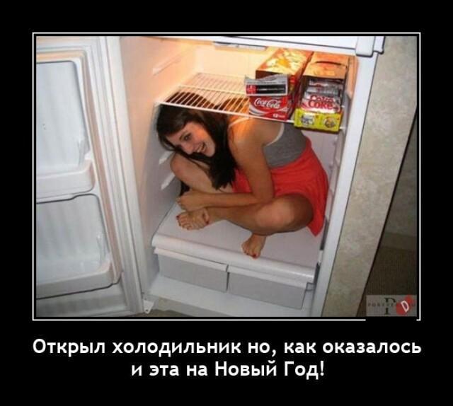 Новые демотиваторы и всё в холодильнике на Новый год