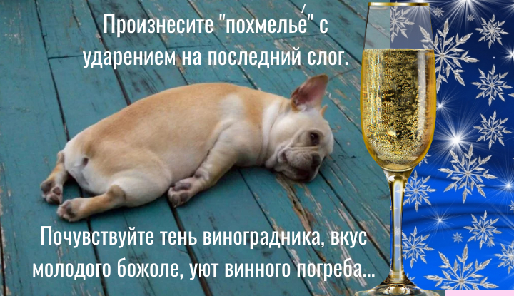 Научная инструкция. Как быстро избавиться от похмелья