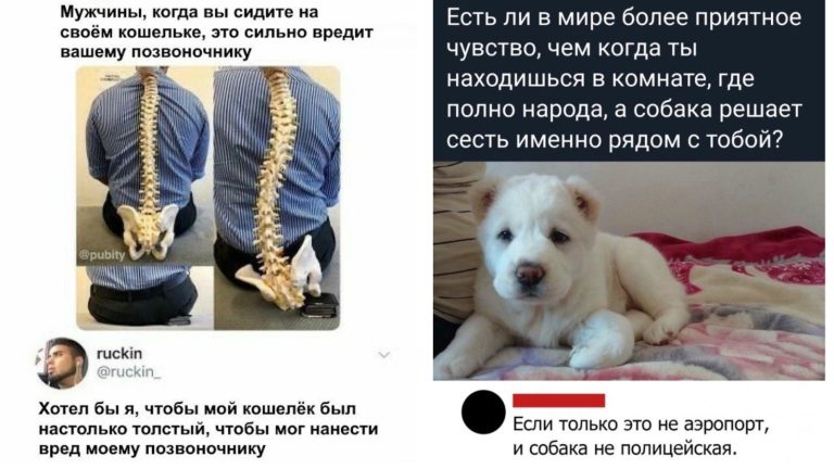 Забавные комментарии, которые как острый соус приправляют сам пост