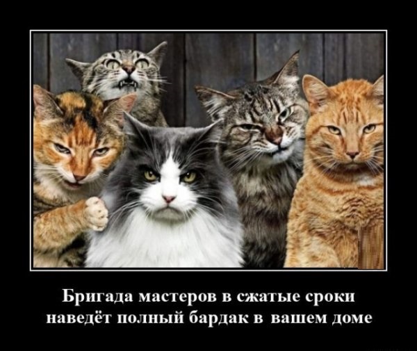 Новые демотиваторы и бригада мастеров