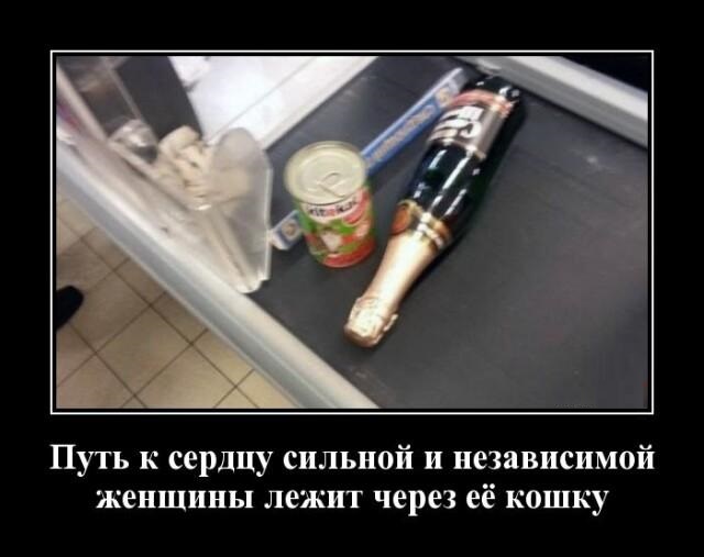 Новые демотиваторы путь к женщине