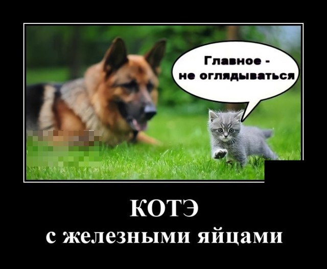 Новые демотиваторы и железные яйца