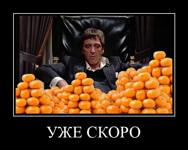 Новые демотиваторы и скоро мандаринки