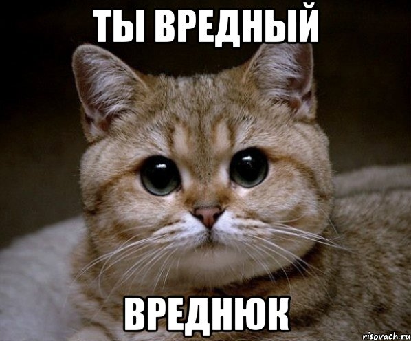 Почему Козероги такие противные , и что с этим делать