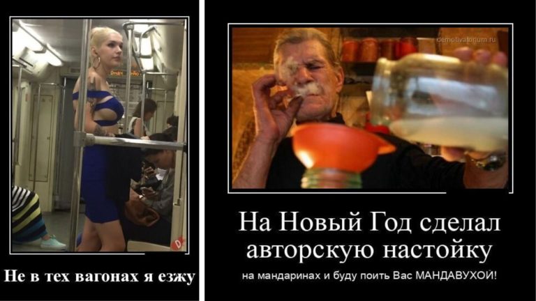 Новые демотиваторы и авторская настойка