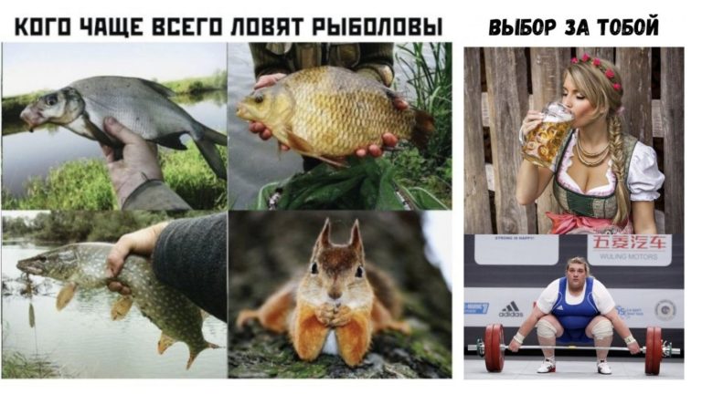 Пост алкогольного юмора и несложный выбор
