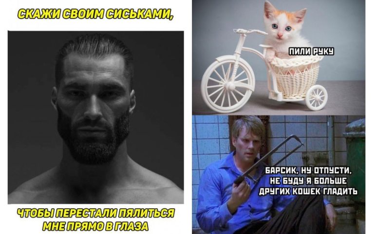 Прикольные картинки с надписями и Барсик не психуй