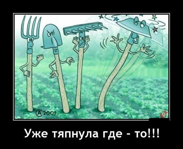 Новые демотиваторы и уже тяпнула