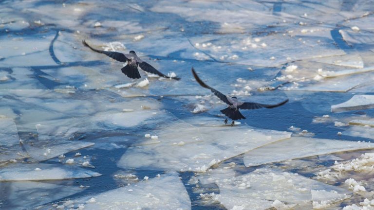 С сегодняшнего дня в Риге запрещено находиться на льду водоемов. Штраф до 100 евро