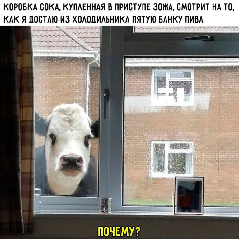 Юмор за день и гинекологи на пенсии