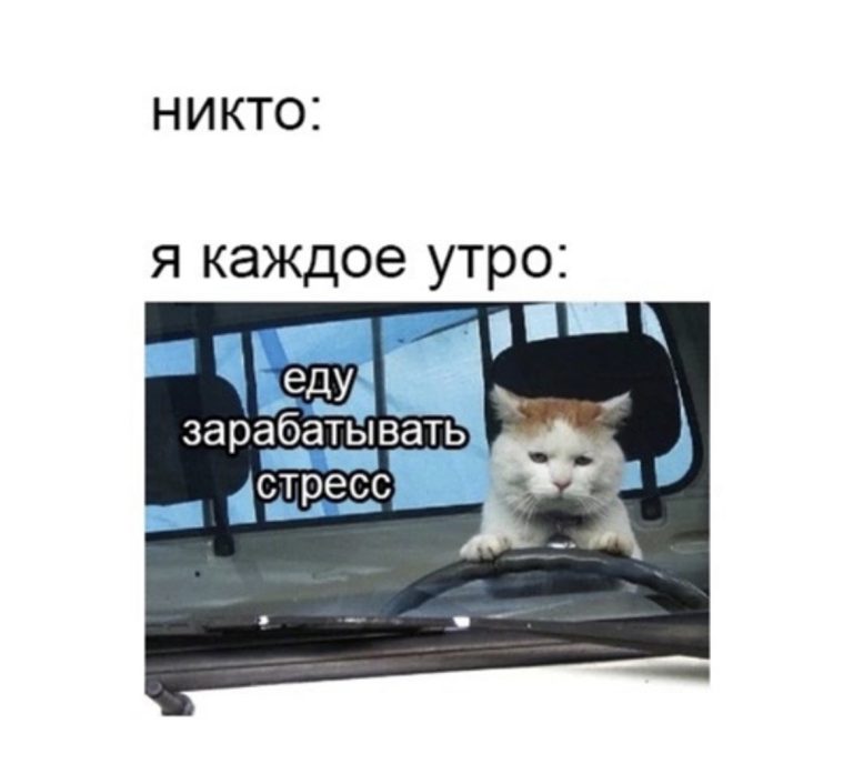 Юмор за день и бегемотики