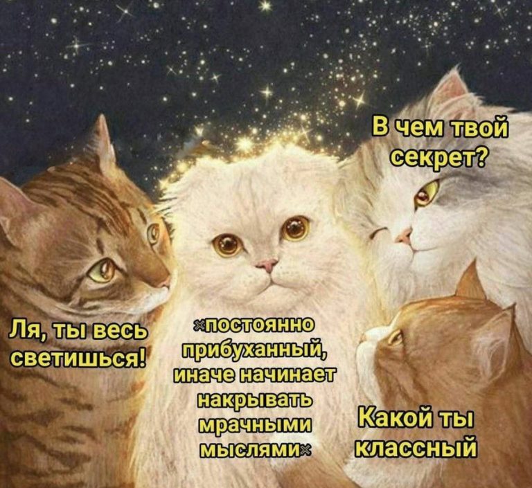 Юмор за день и Сергей Петрович