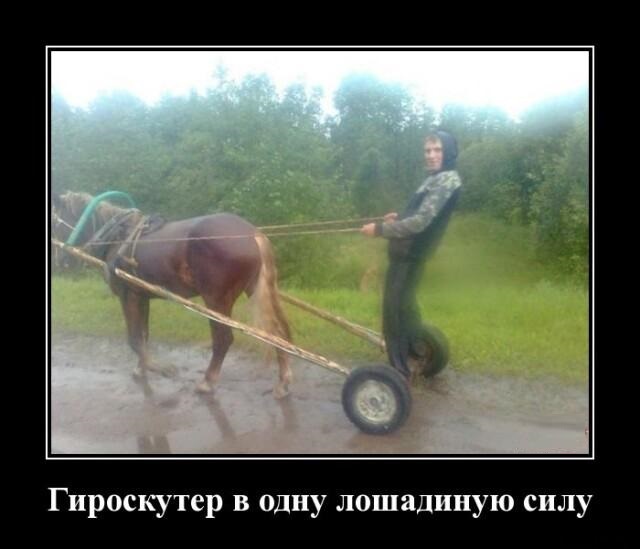 Новые демотиваторы и деревенский гироскутер