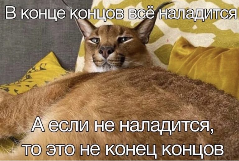 Юмор за день и моя подруга