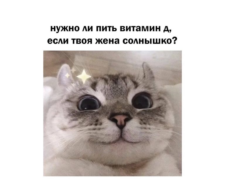 Юмор за день и когда жена солнышко