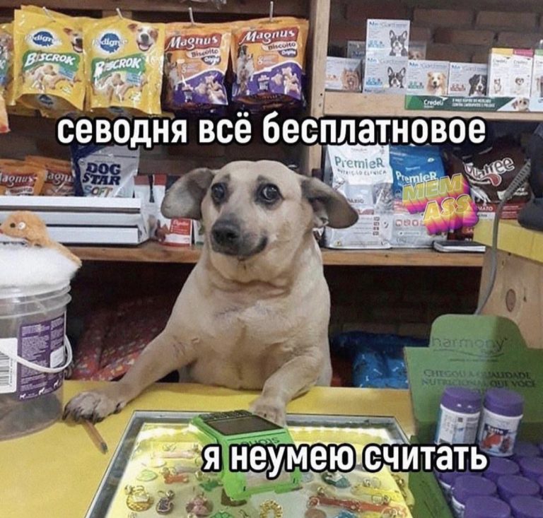 Юмор за день и самые раскрепощенные люди