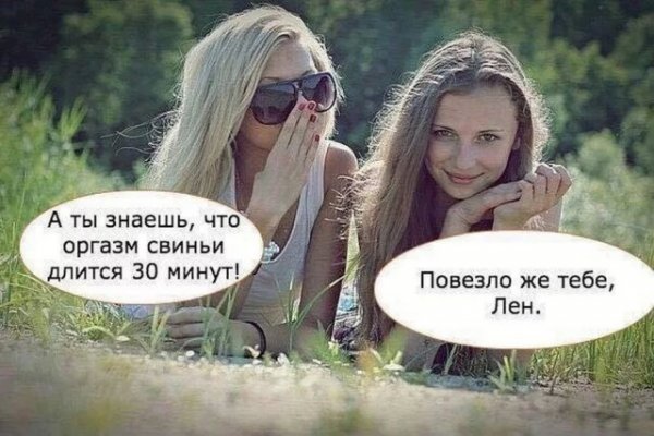 Коллекция мемов для взрослых и везучая свинья