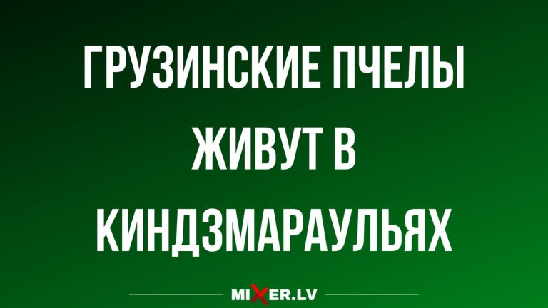 Юмор за день и грузинские пчелы