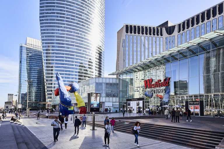 В одном из торговых центров Парижа самоубийство вызвало массовую панику