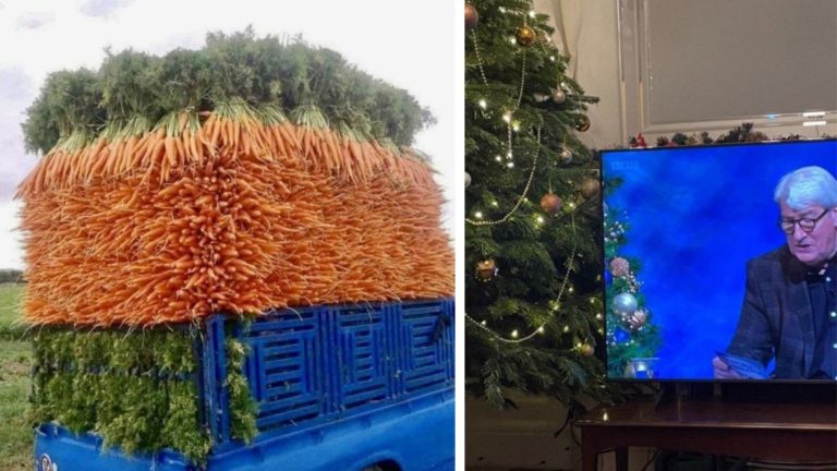 20 безупречных фотографий, которые являются идеальным воплощением слова «совершенство»