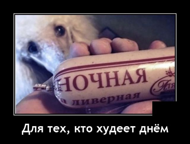 Новые демотиваторы дневное похудение