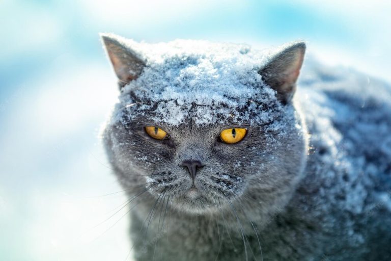 В ночь на четверг ожидается мороз до -25 градусов