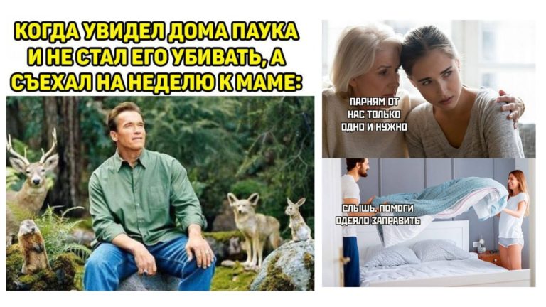 Прикольные картинки с надписями и съехать на неделю к маме