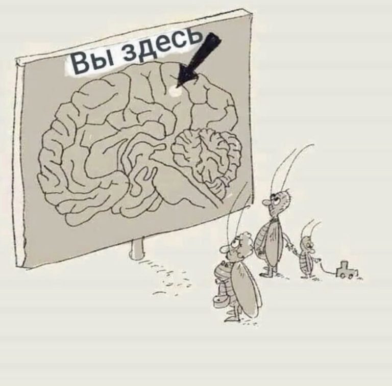 Юмор за день, тревога, бессонница и дефицит железа