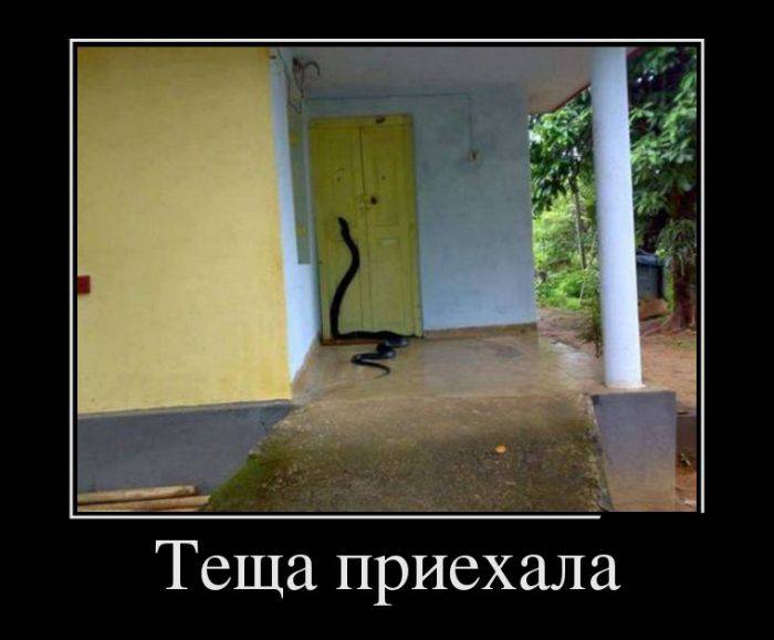 Новые демотиваторы и приезд тёщи